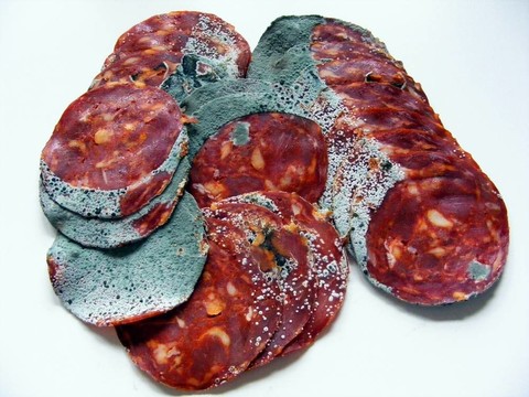 爛肉片