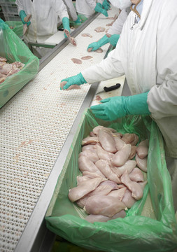 家禽加工肉類食品工業(yè)