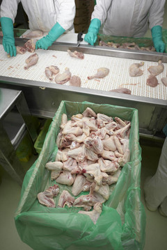 家禽加工肉類食品工業(yè)