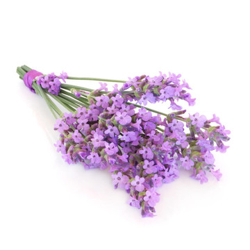 薰衣草花花束