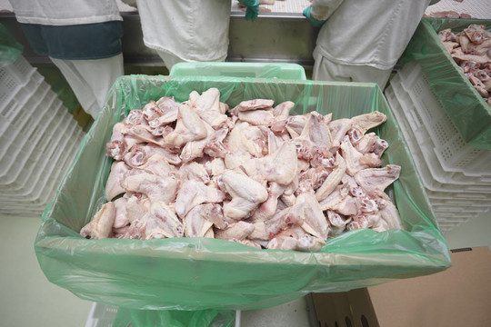 家禽加工肉類食品工業(yè)
