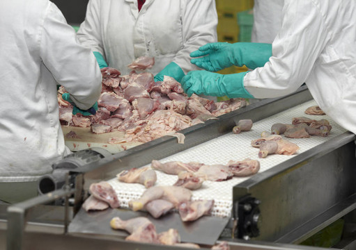 家禽加工肉類食品工業(yè)