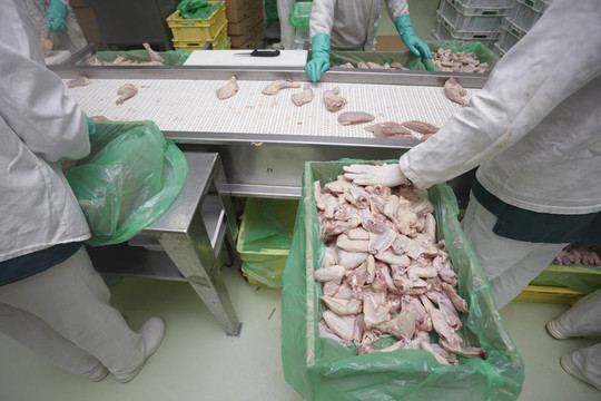 家禽加工肉類食品工業(yè)