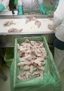 家禽加工肉類食品工業(yè)