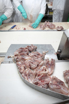 家禽加工肉類食品工業(yè)