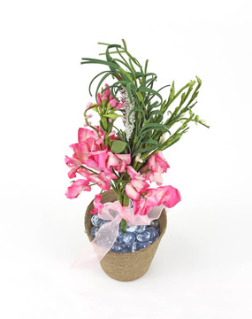 泥炭盆里的紙花
