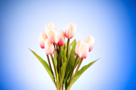 桌上五顏六色的郁金香花束