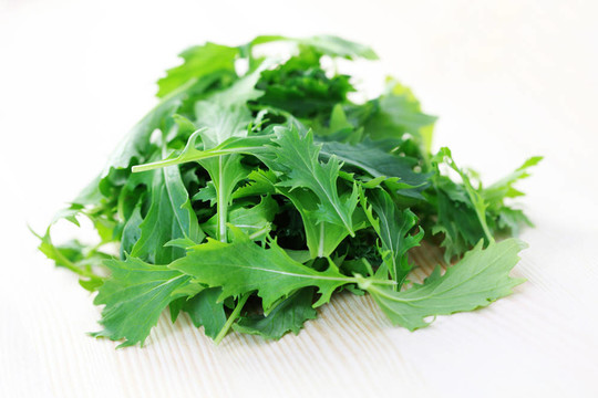 日本蕪菁葉