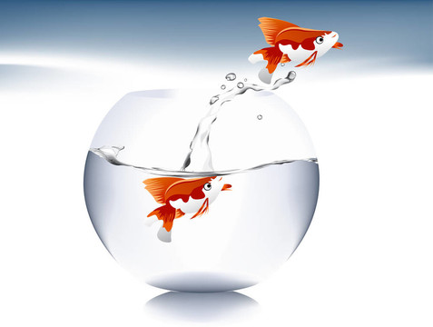 金魚