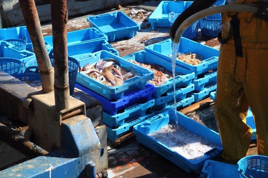 漁夫在漁船甲板清理魚箱