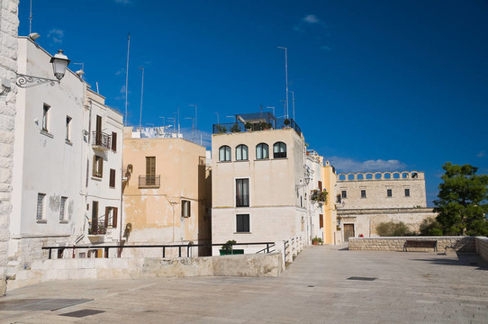 Bari的觀點。Apulia。