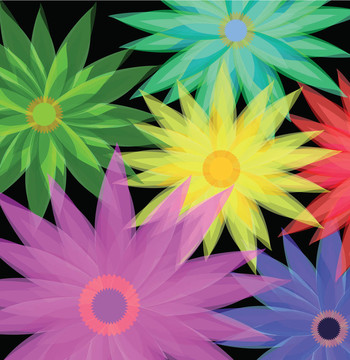 flowersblack背景