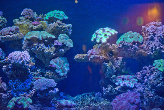 海洋館