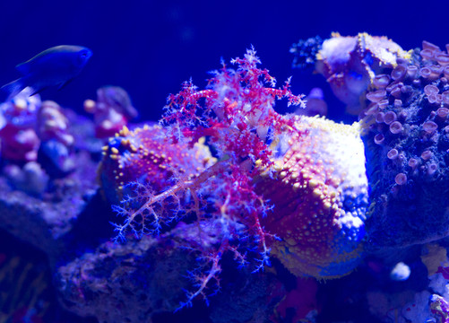 海洋館