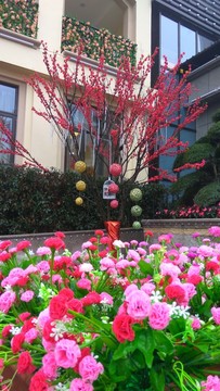 盛開(kāi)的花朵