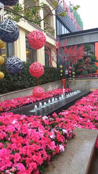 花盆