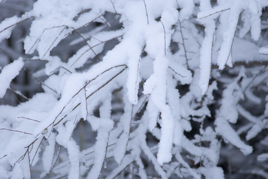 積雪