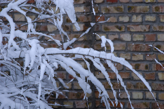 積雪