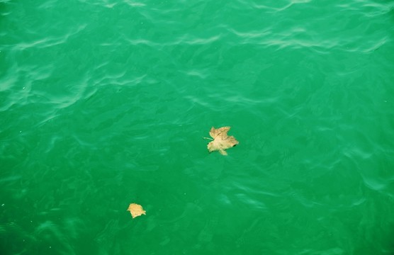 水紋理背景