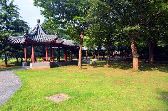 城市公園