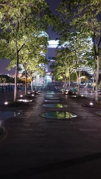 杭州錢江新城夜景綠樹