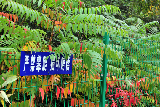 景區(qū)圍欄  防護網(wǎng)