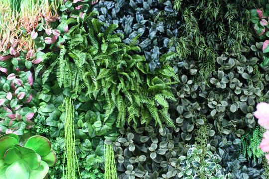植物墻