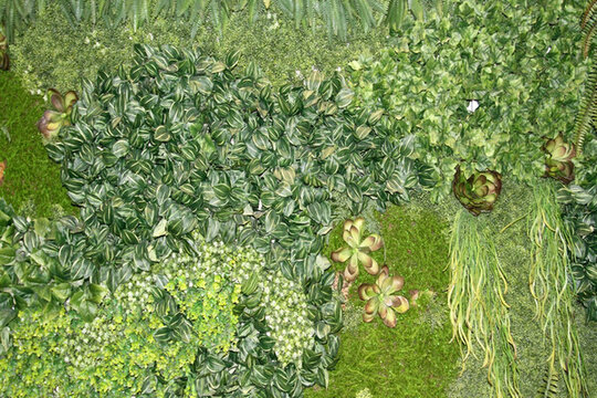 植物墻 植物 背景墻