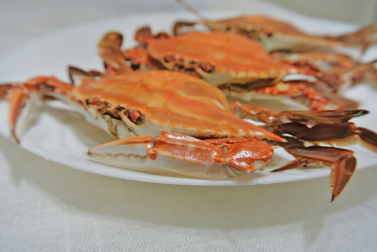 梭子蟹素材 高檔海鮮 海產(chǎn)品