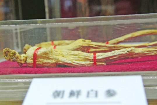 中藥材 中草藥 白參