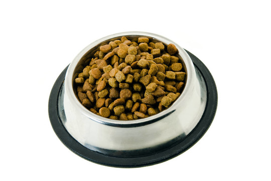 貓的飼料
