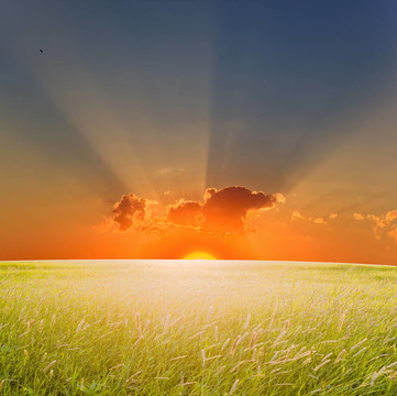 夏日的夕陽