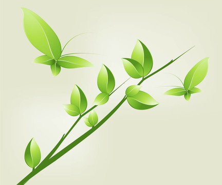 生態(tài)學(xué)的概念