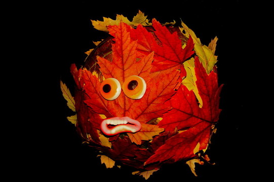 HALLOWE EN葉摘要生態(tài)地球南瓜