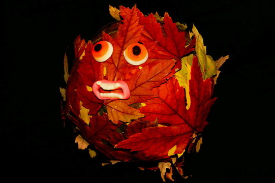 HALLOWE EN葉摘要生態(tài)地球南瓜