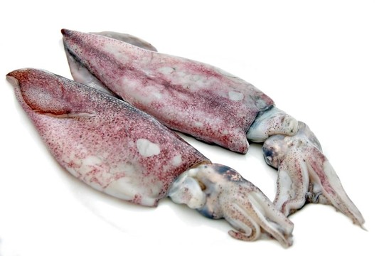 兩生魷魚