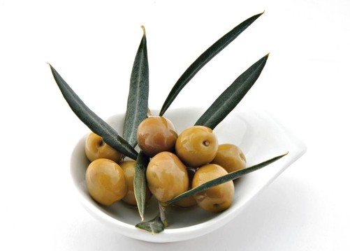 橄欖葉