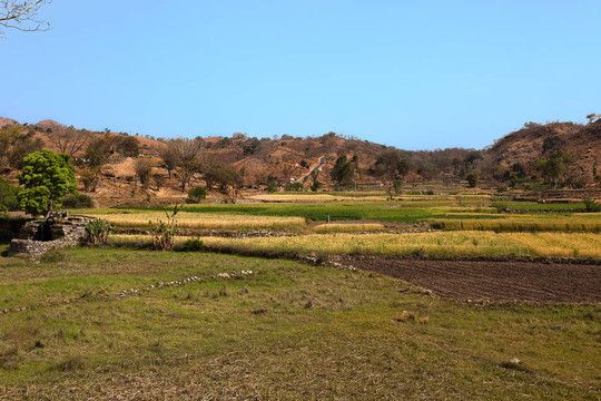 拉賈斯坦農(nóng)村