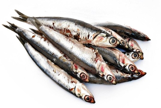 幾個鳳尾魚