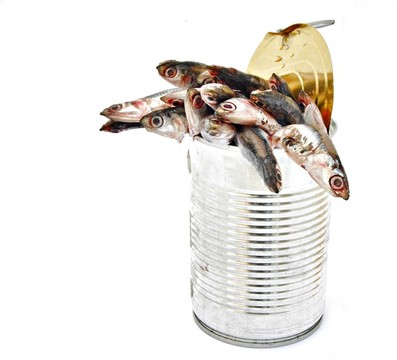 幾個鳳尾魚