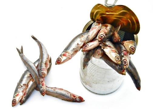 幾個(gè)鳳尾魚
