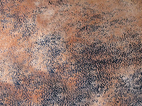 老式的皮革紋理特寫