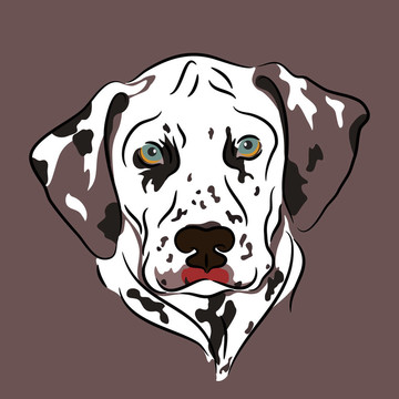 Dalmatian的肖像