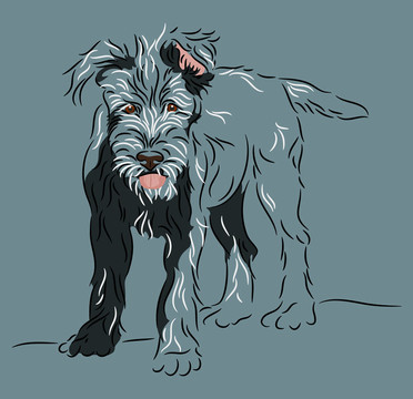 獵狼犬幼犬站