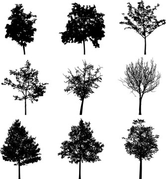 treesilhouettes