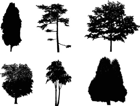treesilhouettes