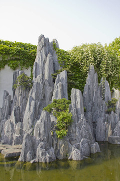 亞洲花園中的巖石
