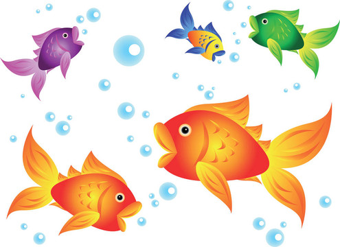 金魚(yú)和朋友
