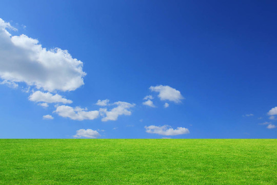 草的天空