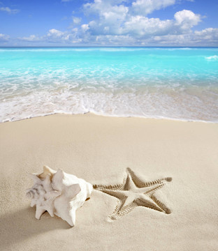 加勒比海灘海星印花貝殼白沙